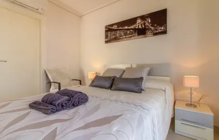 Maison 3 chambres avec piscine commune à Torrevieja : photo 24