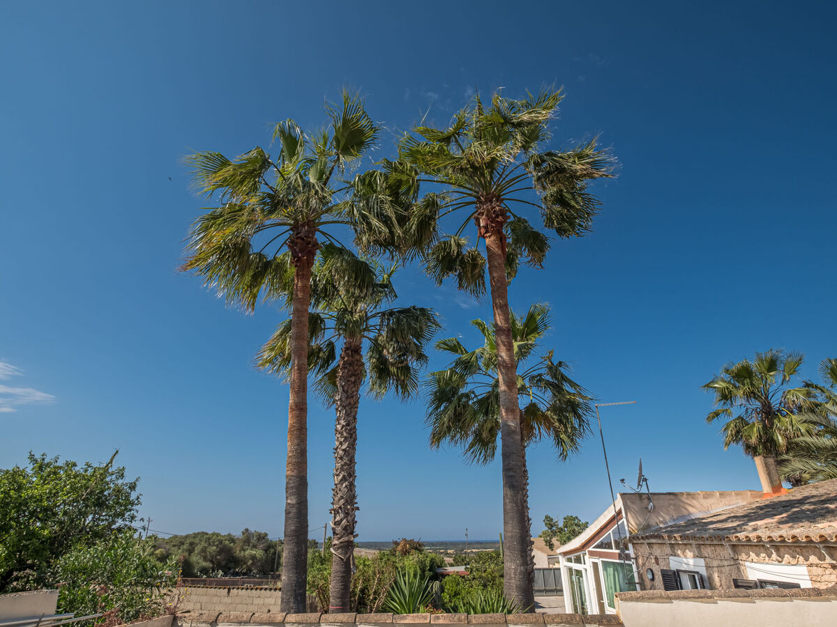 Mare, maison 3 pièces avec piscine à Ses Salines - Photo 24