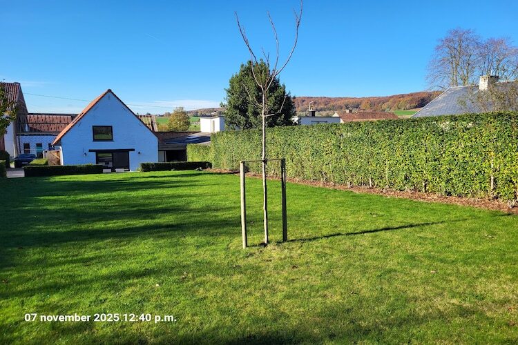 Maison Au Trieu : 10 pers., jardin clôturé, borne EV - Photo 30