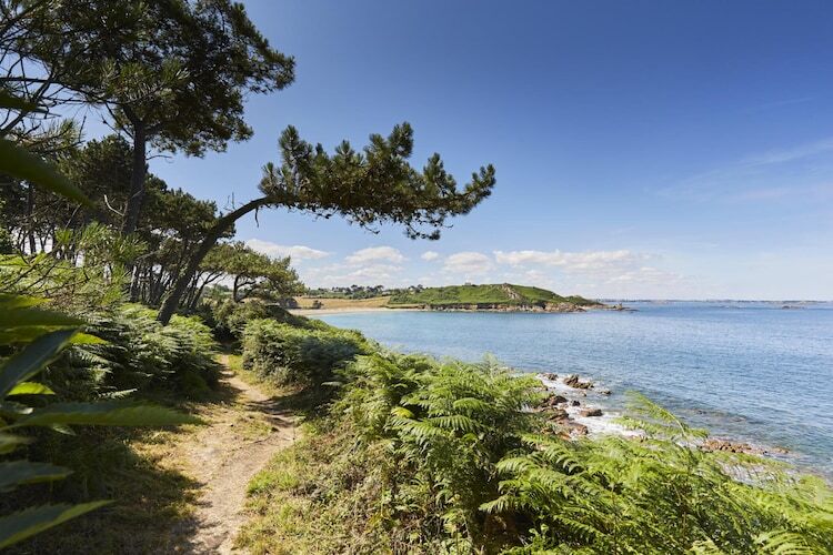 Cottage breton à 250m de la plage de Port-Blanc - Photo 24
