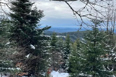 La Maison du Gardien - 7 hectares à Raon l'Étape : photo 33