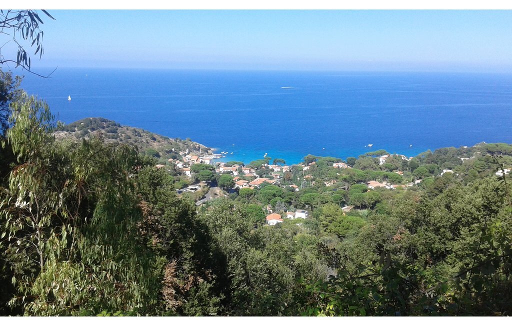 Maison 9 pers. avec vue mer, Elbe - 5000 m² de terrain - Photo 30