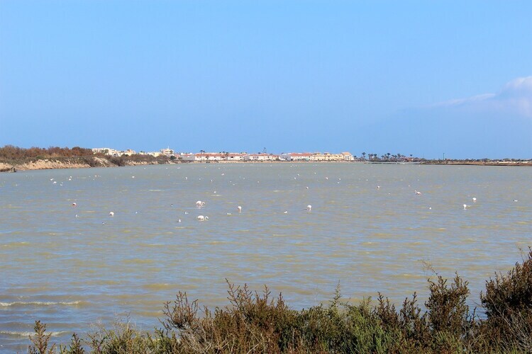 Maison 3 chambres San Pedro del Pinatar, vue mer - Photo 21
