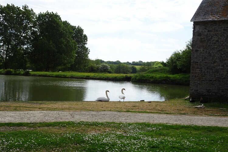 Ancien pressoir du 15e siècle, 12 personnes, 140 hectares - Photo 27