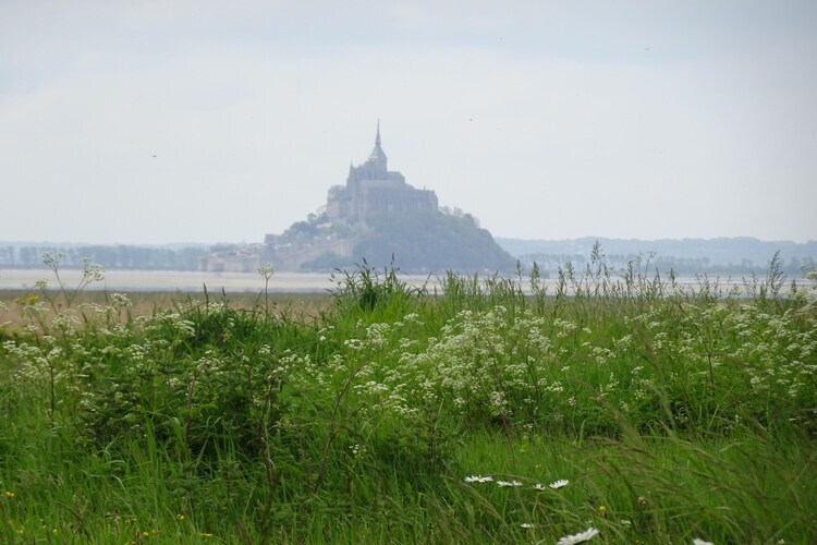 Ancien pressoir du 15e siècle, 12 personnes, 140 hectares - Photo 33