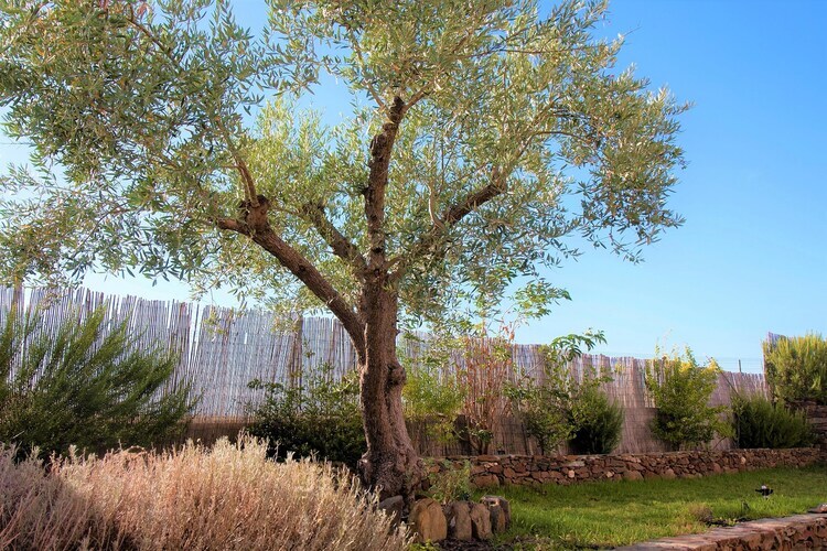 Gîte rural Ecoland à Mértola, parc naturel - Photo 24