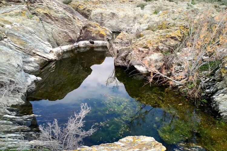 Gîte rural Ecoland à Mértola, parc naturel - Photo 25