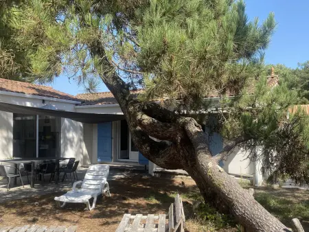 Maison 4 chambres 200m plage, terrain naturel et WIFI : photo 11