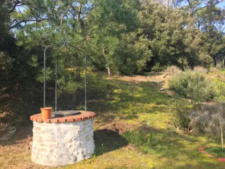 Maison 4 chambres 200m plage, terrain naturel et WIFI : photo 19