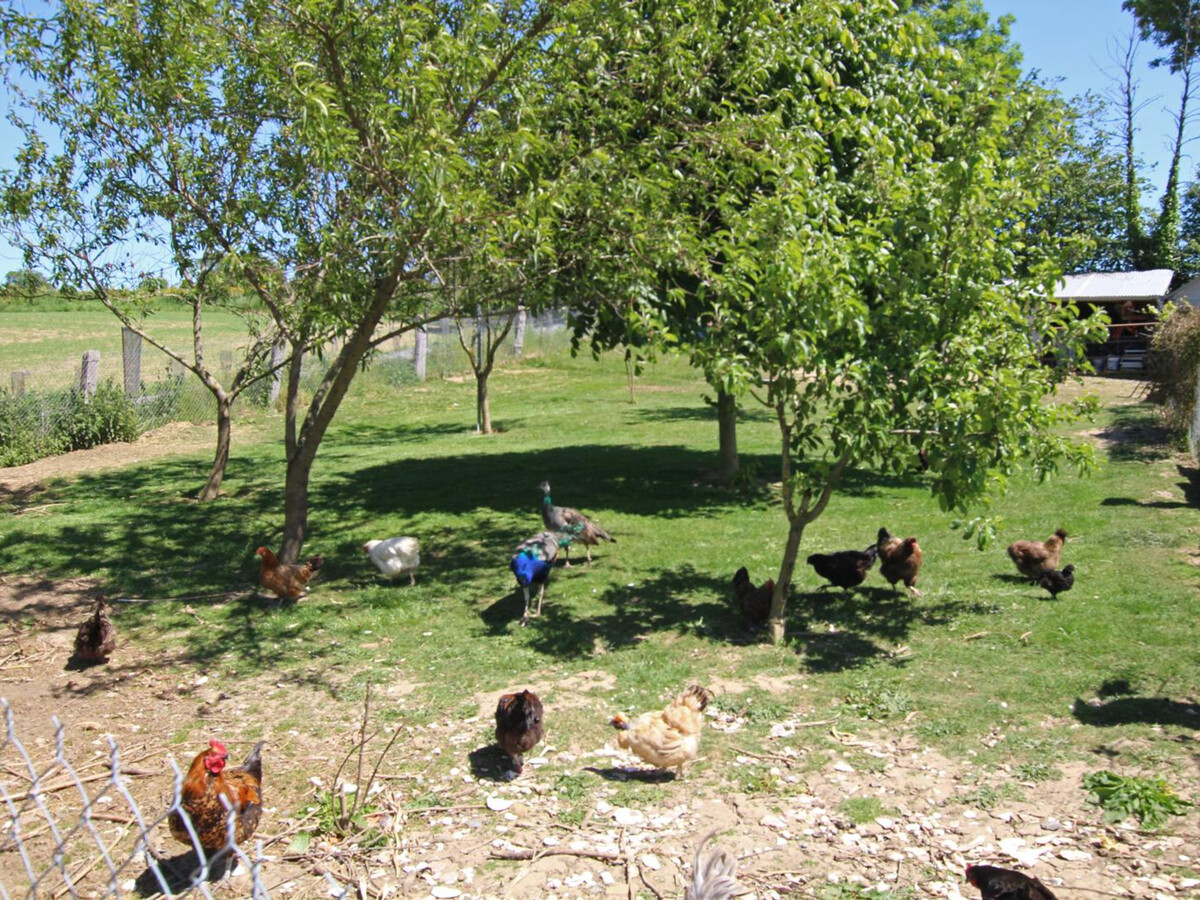 Gîte moderne 5 pers. avec vélos à Sartilly - Photo 17