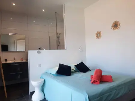 Villa Cupabia, 10 pers., piscine chauffée et vue mer : photo 8
