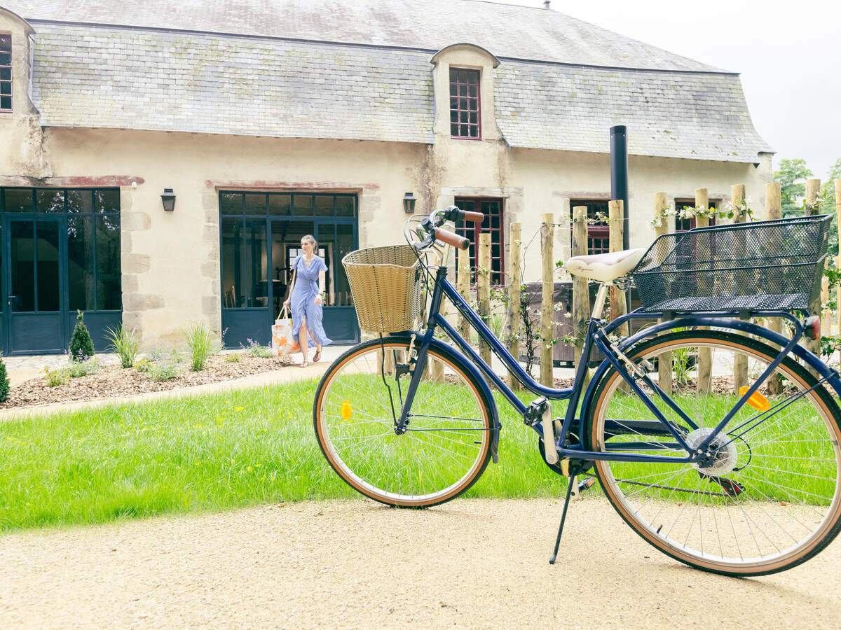 Château XVII-XVIII avec spa, salle de sport et parc 24 ha - Photo 34