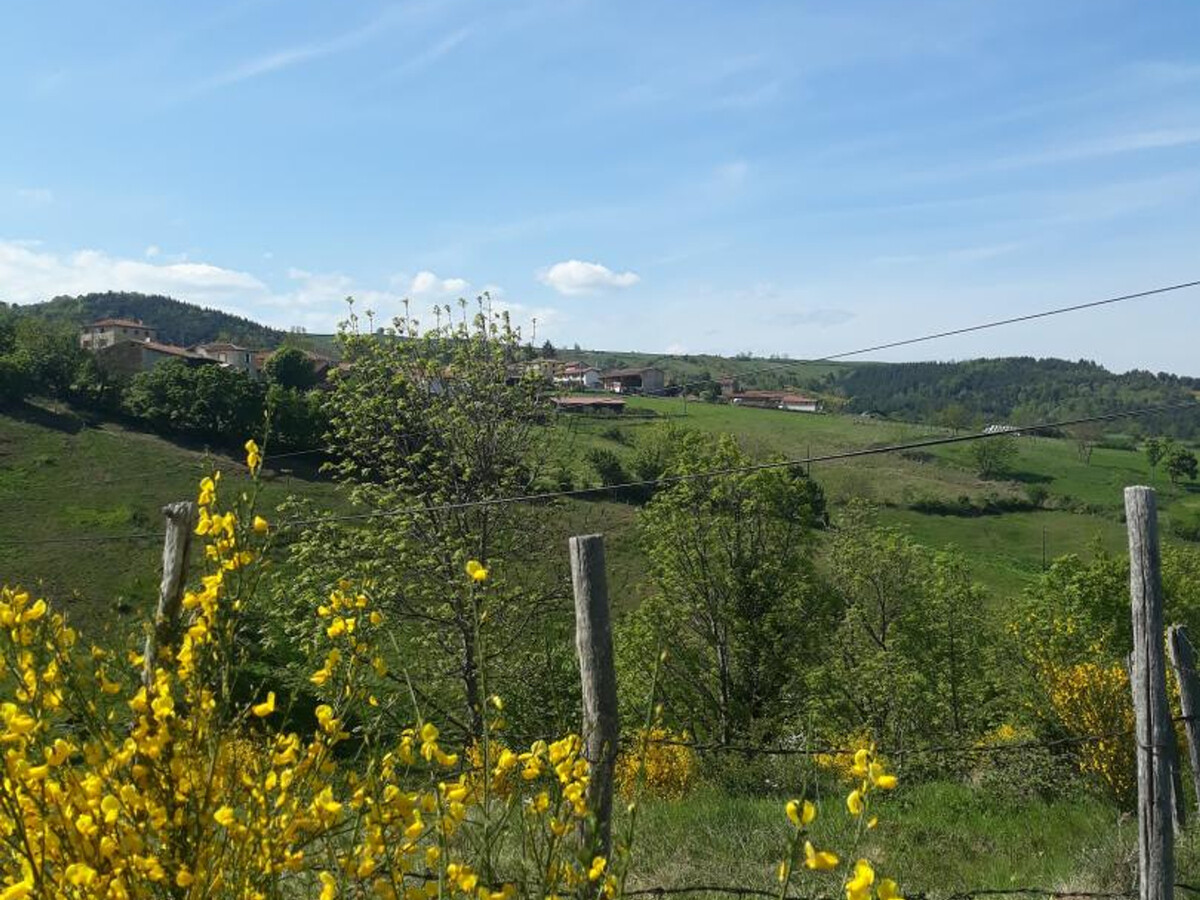Gîte 45 m² avec terrain à Pralong, Monts du Forez - Photo 11