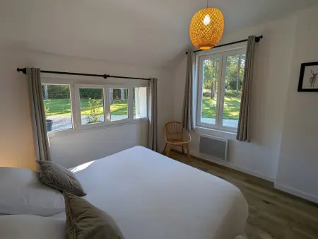 Gîte Sologne 5 pers, étang privé et forêt, proche Orléans : photo 13