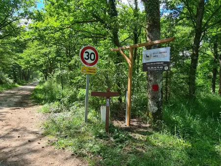 Gîte Sologne 5 pers, étang privé et forêt, proche Orléans : photo 31