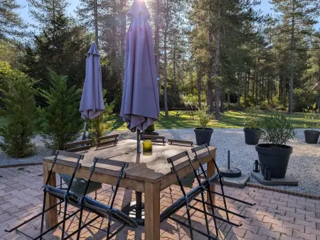 Gîte Sologne 5 pers, étang privé et forêt, proche Orléans : photo 32