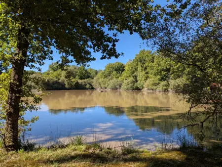 Gîte Sologne 5 pers, étang privé et forêt, proche Orléans : photo 34