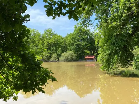 Gîte Sologne 5 pers, étang privé et forêt, proche Orléans : photo 35