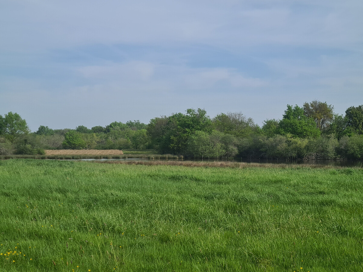 Gite plain-pied vue étang en Brenne, tout inclus - Photo 11