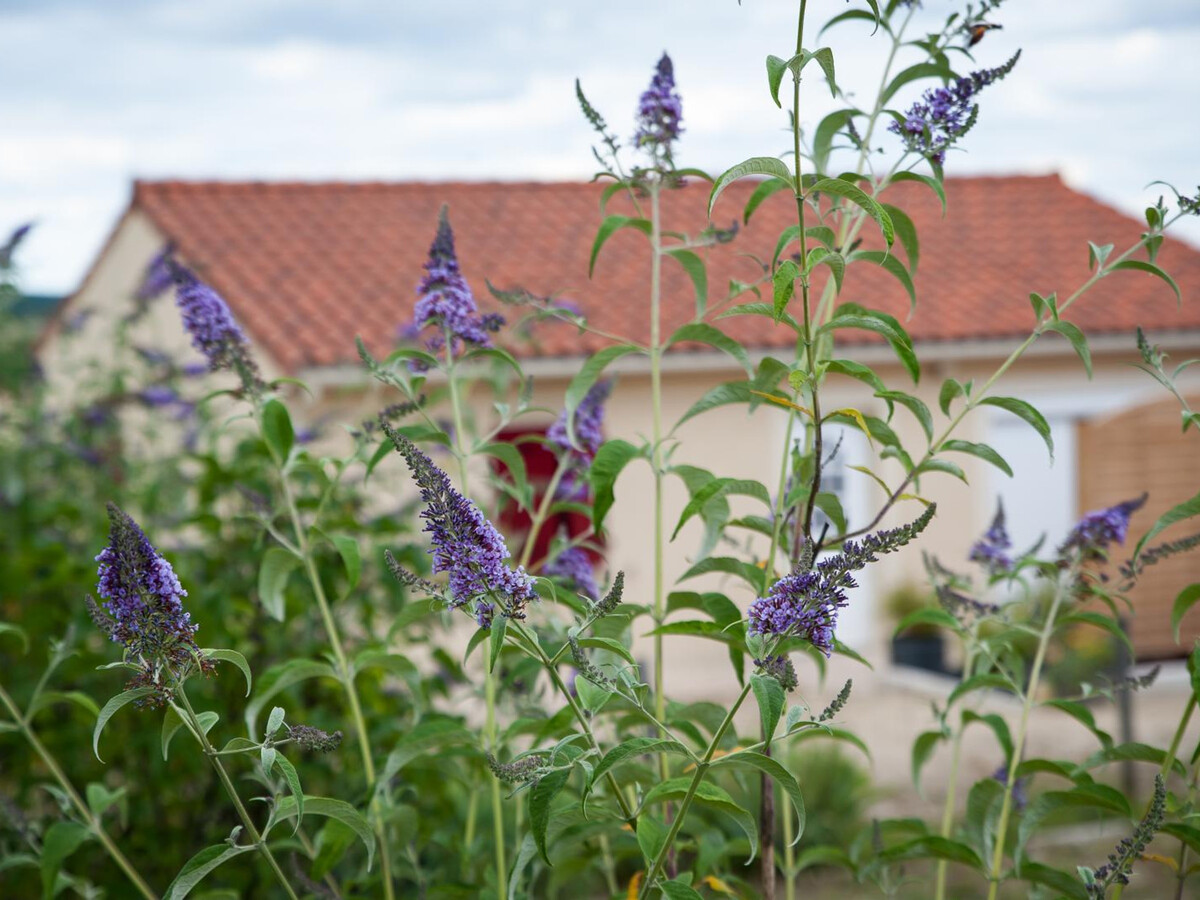 Gîte de plain-pied 4 pers. à 20 km de Périgueux - Photo 18