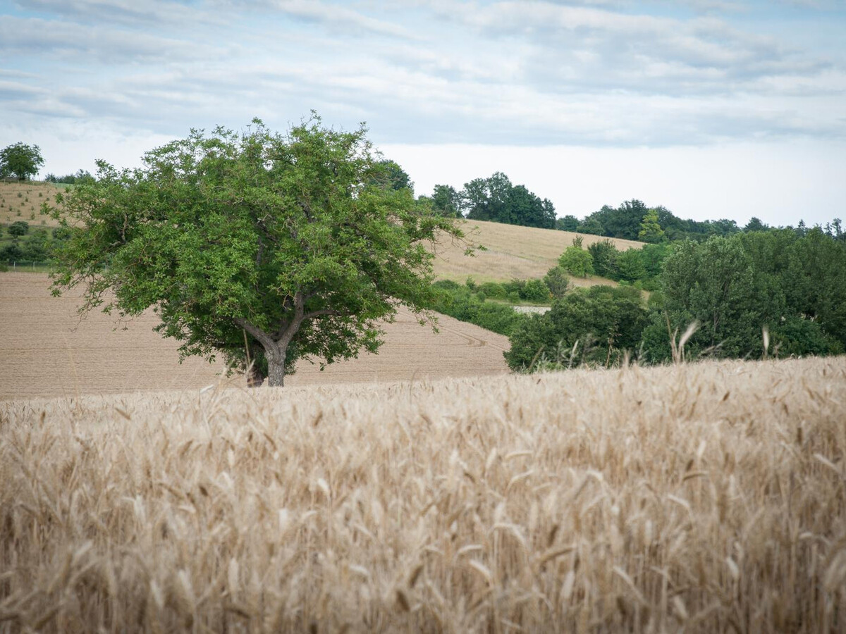 Gîte de plain-pied 4 pers. à 20 km de Périgueux - Photo 19