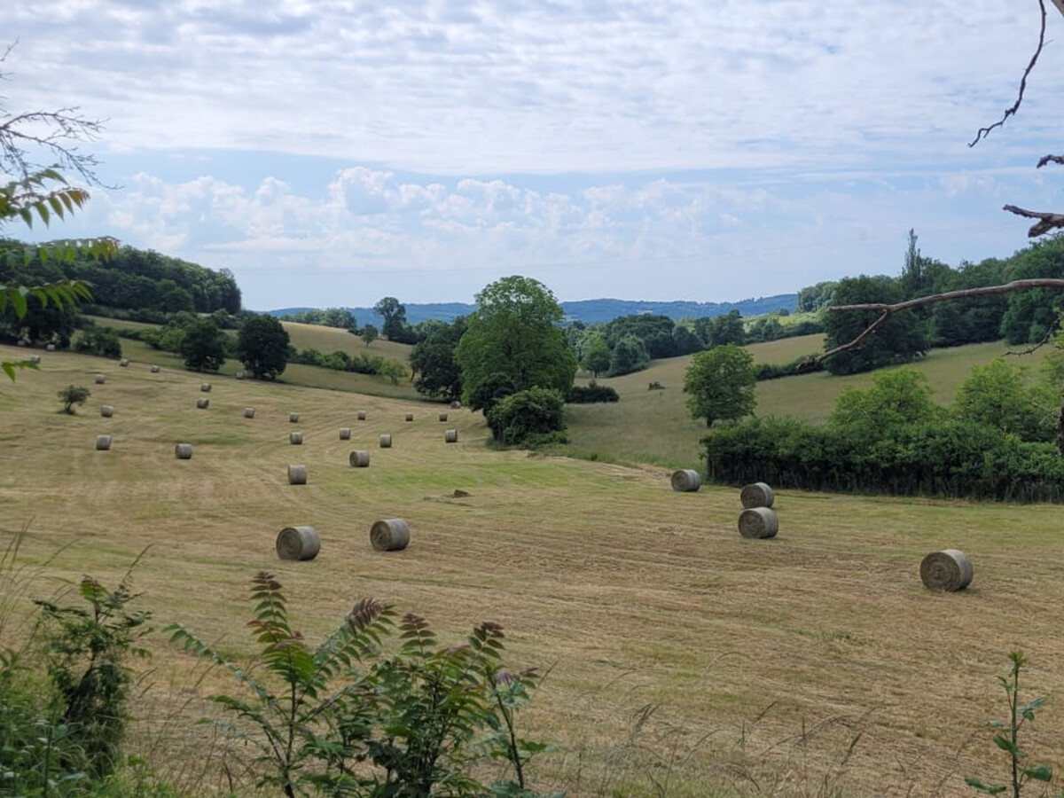 Gîte de plain-pied 4 pers. à 20 km de Périgueux - Photo 21