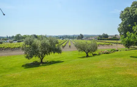 Location Maison 8 personnes à Lançon Provence - Photo 8