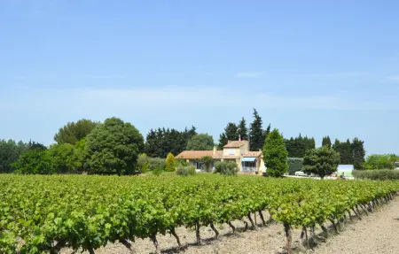 Location Maison 8 personnes à Lançon Provence - Photo 13