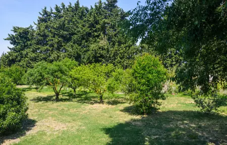 Location Maison 8 personnes à Lançon Provence - Photo 17