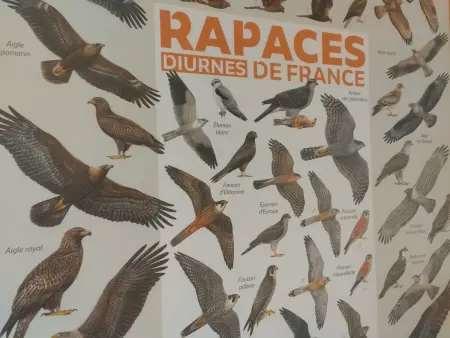 Gîte 10 personnes en Auvergne au départ de randonnées : photo 19
