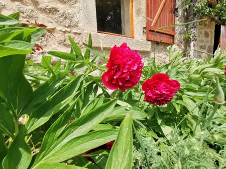 Gîte 10 personnes en Auvergne au départ de randonnées : photo 35