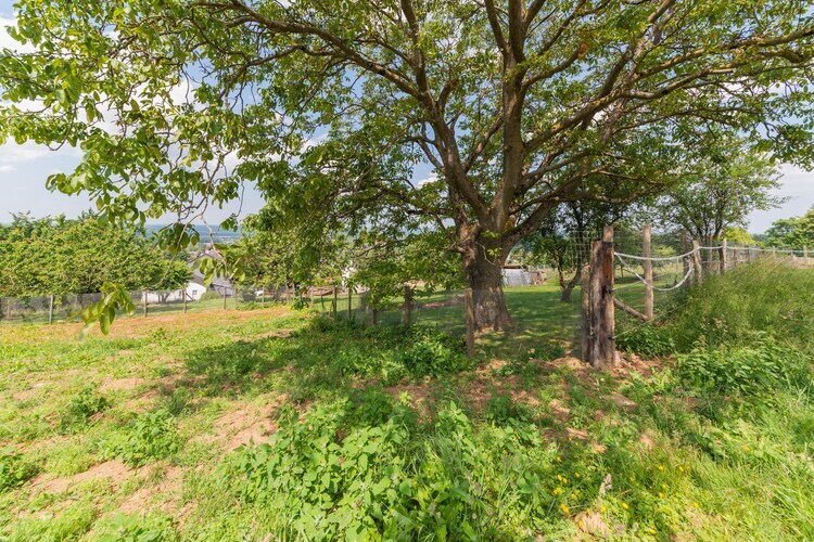 Maison 8 pers. Marche-en-Famenne, cheminée et jardin - Photo 36
