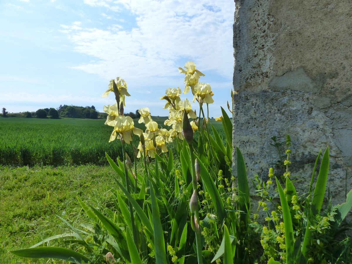 Gîte plain-pied rénové avec jardin à Rongères - Photo 18