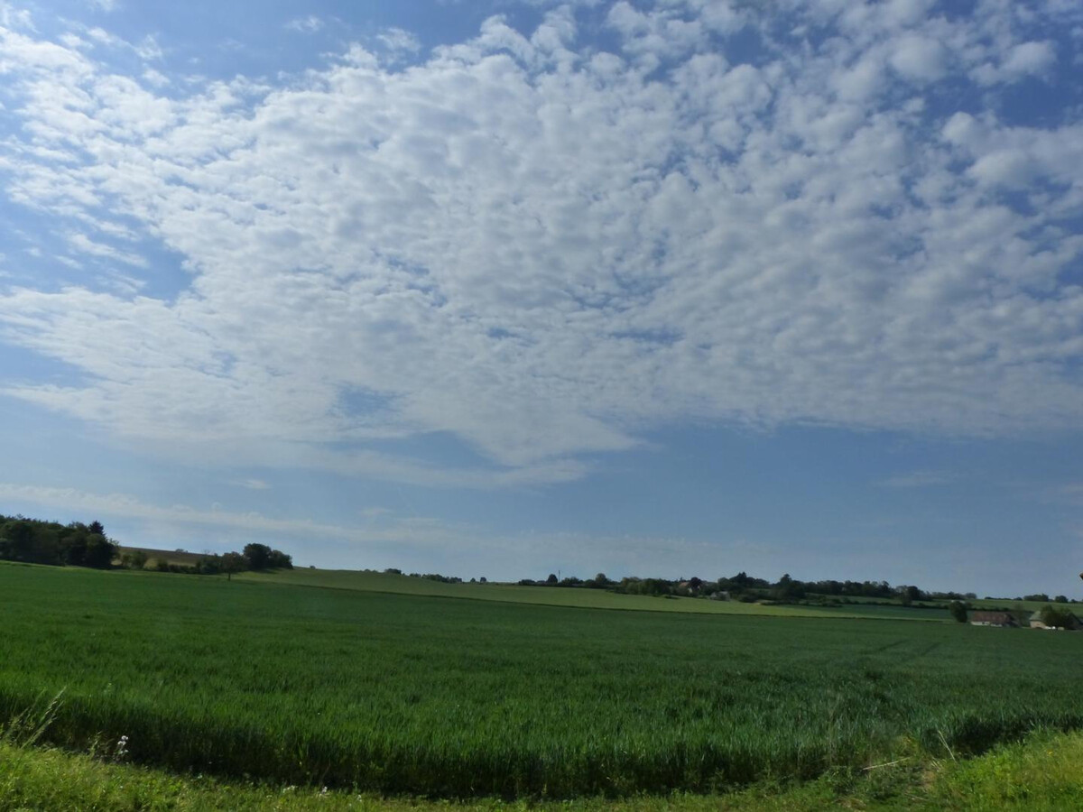 Gîte plain-pied rénové avec jardin à Rongères - Photo 22