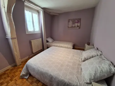 Gîte 12 pers. hypercentre Orléans, 100m de la Loire : photo 5