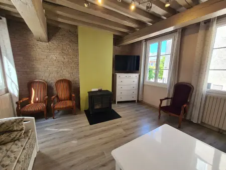 Gîte 12 pers. hypercentre Orléans, 100m de la Loire : photo 20