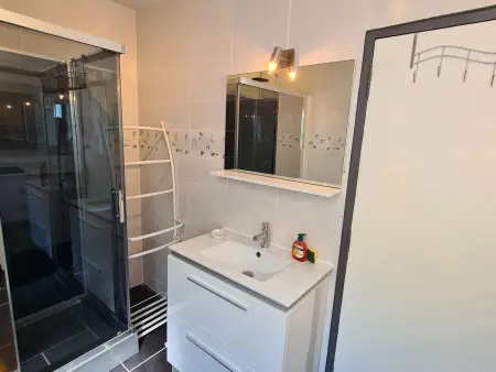 Gîte 12 pers. hypercentre Orléans, 100m de la Loire : photo 35
