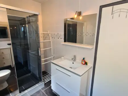 Gîte 12 pers. hypercentre Orléans, 100m de la Loire : photo 36