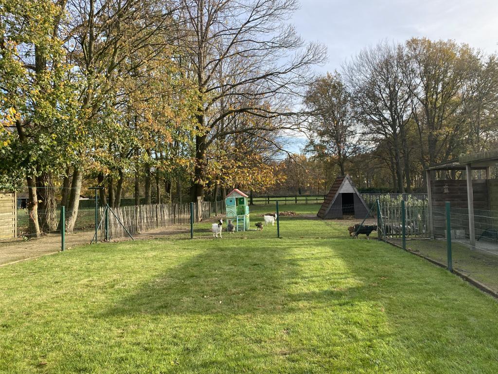 Het Bruegelhof : maison 20 pers. à Peer - Photo 12