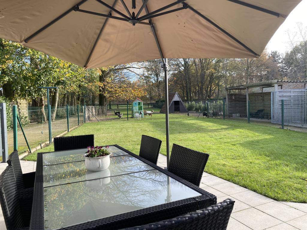 Het Bruegelhof : maison 20 pers. à Peer - Photo 13