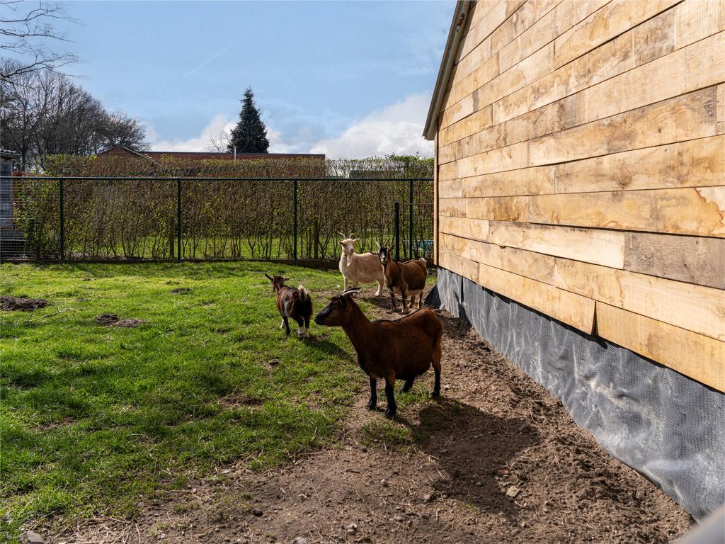 Het Bruegelhof : maison 20 pers. à Peer - Photo 19
