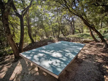 Maison de campagne XIXe avec piscine privée à Bollène, 8 pers. : photo 41