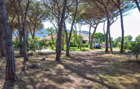 Location maison à Budoni