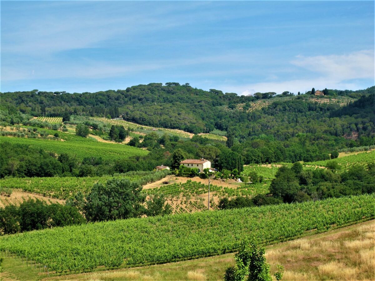 Dépendance di Villa Magna – gîte toscan sur domaine viticole - Photo 33