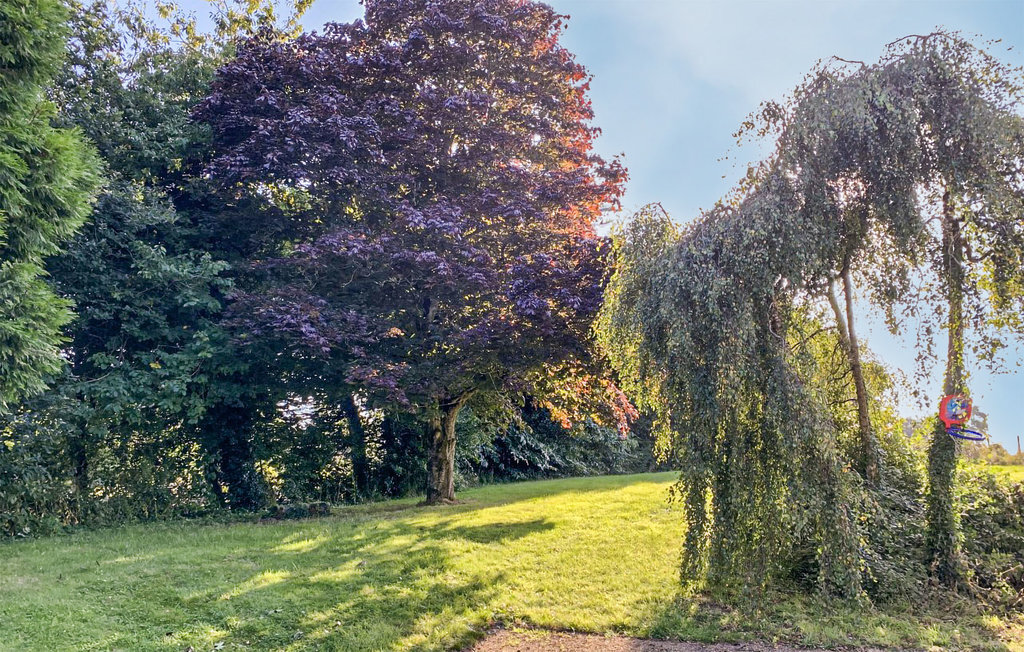 Maison en pierre 90 m² avec jardin, Quemper Guezennec - Photo 15