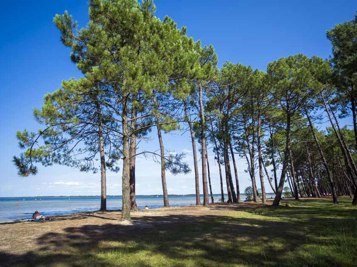 Maison 15 pers., 6 chambres, jardin et lac à 2km - Photo 17