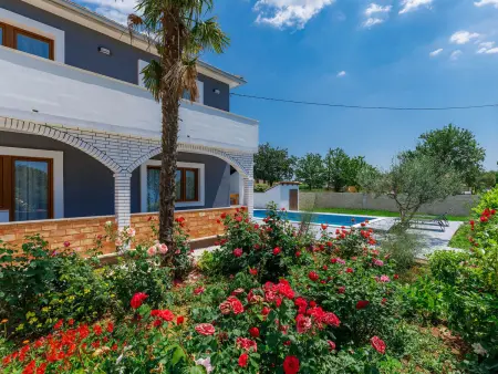 Maison Mia 8 pers., piscine privée à Svetvinčenat : photo 6