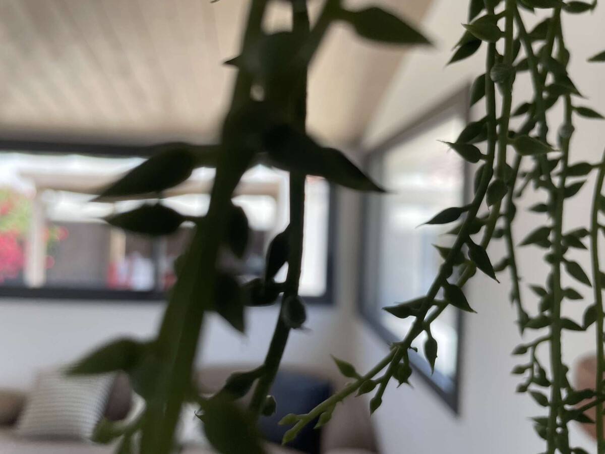 Maison 10 pers, annexe indépendante, 250m de la plage - Photo 3