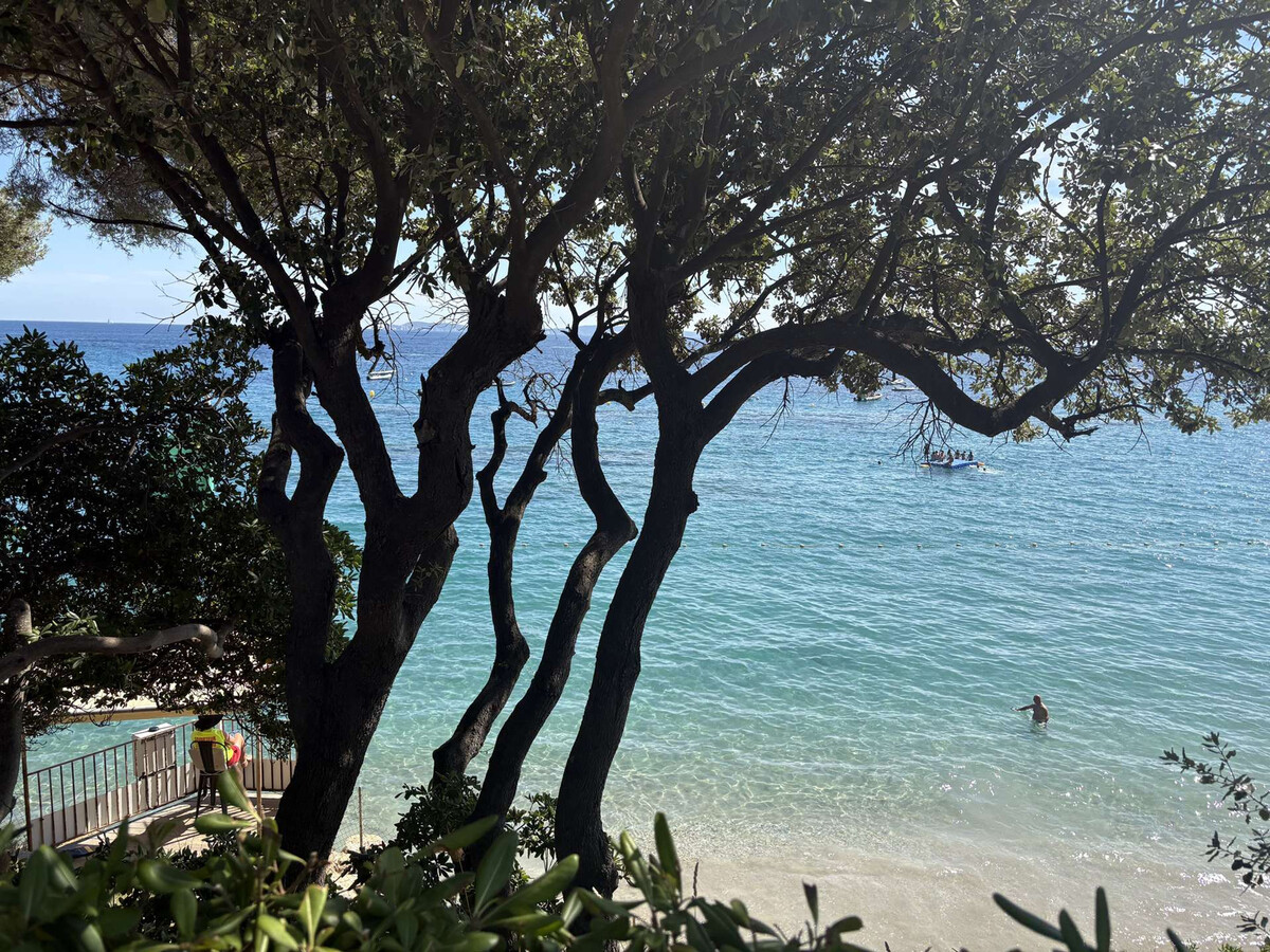 Villa vue mer au Lavandou, 6 pers., terrasse plein sud - Photo 15