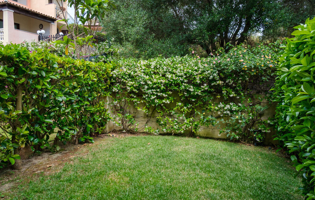 Appartement 4 personnes à Porto San Paolo - Photo 8